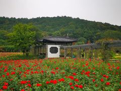 -龙寺生态园