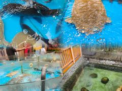 -耕渔小院·湖南鱼鲜(望城店)