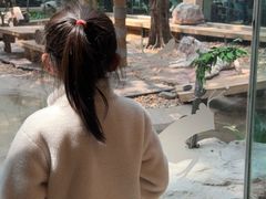 -麒麟中餐厅·经典粤菜·地道菜式老字号(广州长隆酒店)