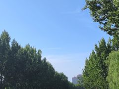 -汉长安城未央宫国家考古遗址公园