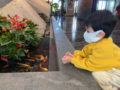 -上海外滩英迪格酒店