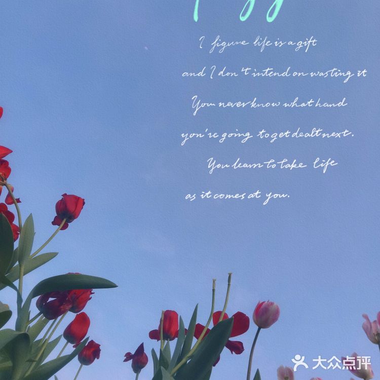 🌷园博苑•荷兰园郁金香•异域风情🌷