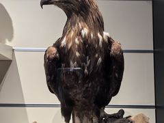 -大连自然博物馆