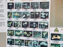 -松赞丽江山居餐厅