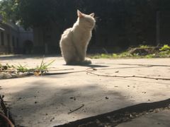 -北京外国语大学东院食堂