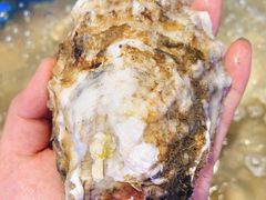 生蚝-乔哥铭洋海鲜自助(皇城恒隆广场店)