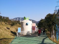 -瓷天下海丝谷