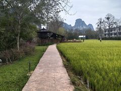 -明仕田园
