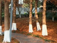 -水月周庄铂尔曼酒店-水月荟中餐厅