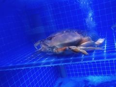 -江南小菜(东辰御龙湾店)