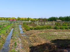 -嘉北郊野公园