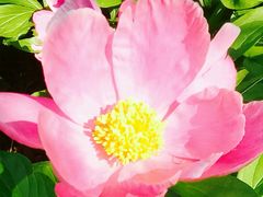 -长春公园(普阳街道)