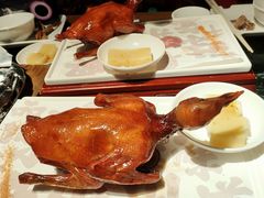红烧乳鸽-大鸽饭(北京路店)
