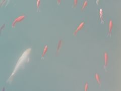 -山西通天峡景区