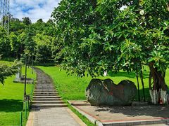 -龙头寺公园