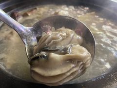 -冯姐生蚝(迎宾广场店)