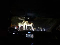 -鹭江潮餐厅•福建菜(鹭江佲家酒店)