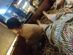 -海韵之星邮轮水会(明发商业广场店)