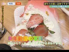 -东哥紫阳蒸盆子(旺座·现代城店)