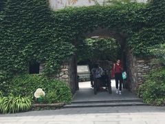 -藏龙百瀑风景区