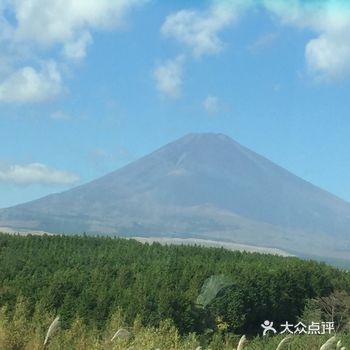 初去日本是在2017年的初冬，是跟旅游团去的