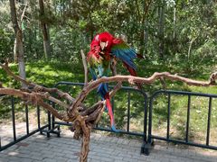 -北京野生动物园