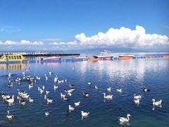 -青海湖国家重点风景名胜区