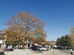 -溪口-滕头旅游景区