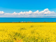 -青海湖国家重点风景名胜区