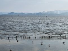 -深圳湾公园(南山区)