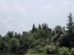 -桤木河湿地公园