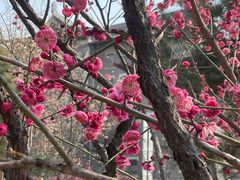 -山东大学(趵突泉校区)