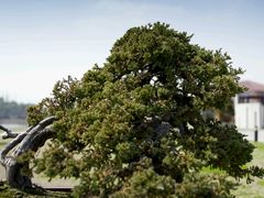 android_upload_pic-上海海湾国家森林公园