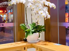 -Peet's Coffee皮爷咖啡(豫园店)