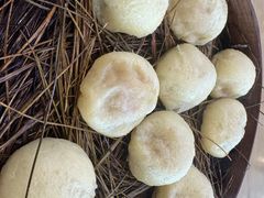 -佬钱湾仔(衣裳街店)