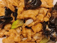 -凯鸽酒楼(大同振兴街店)