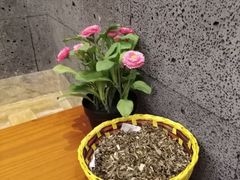 -嘉慧女子水汇