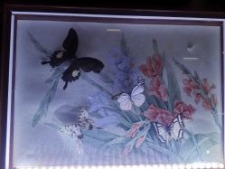 -酷嗒动物文化乐园(cutezoo西溪乐天城店)