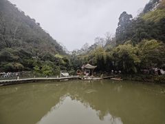 -黔灵山公园