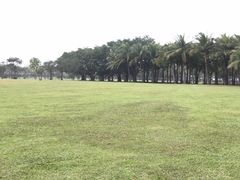 -万绿园