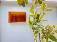 -LuluCake·路鹿蛋糕