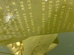 -大金鹰园