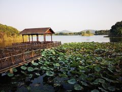 -上海市保健医疗中心(华东疗养院)