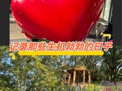 -中山公园