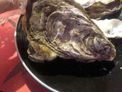 高压锅生蚝-蚝魁竹笼蒸生蚝 余杭店