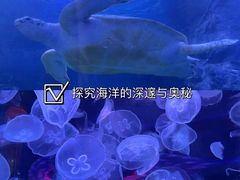 -左海海底世界