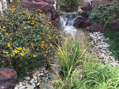 -武清南湖绿博园