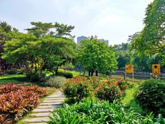 -晓港公园