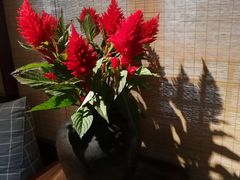 景观位-瑭风赏阁