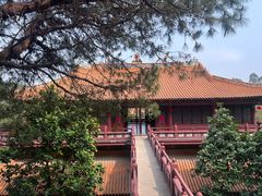-三水森林公园